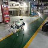 Quadruped Inspection Robot
